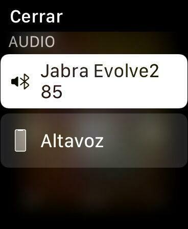 Apple Watch música auricular