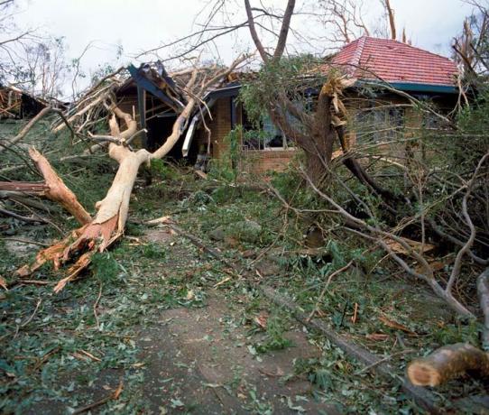 stablo palo na australsku kuću tijekom oluje