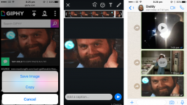 Como enviar GIFs no WhatsApp para iPhone