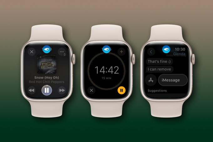 Apple Watch Double Tap-functies