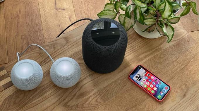 HomePod mini e HomePod normal