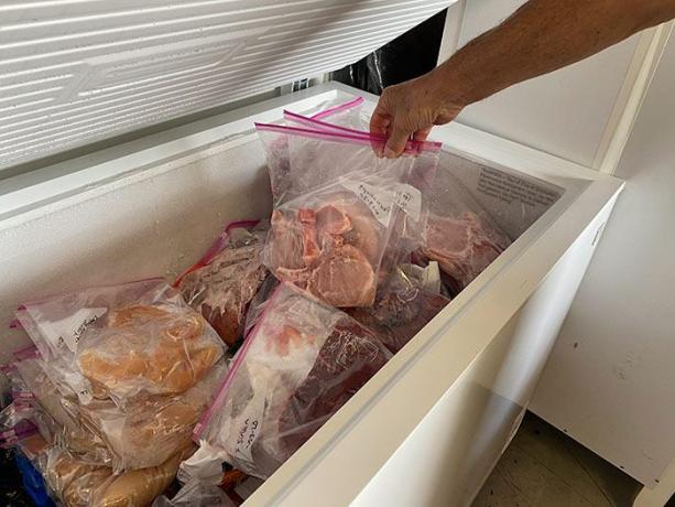 person_putting_several_ziplock_bags_of_meat_in_freezer